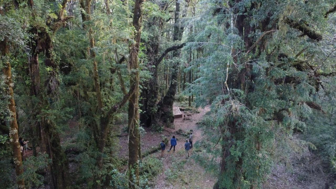 Parque Tepuhueico Castro