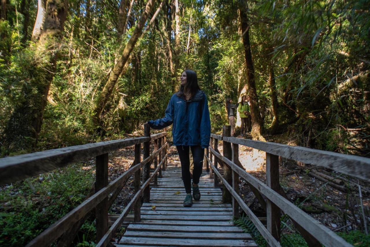 Parque Tepuhueico